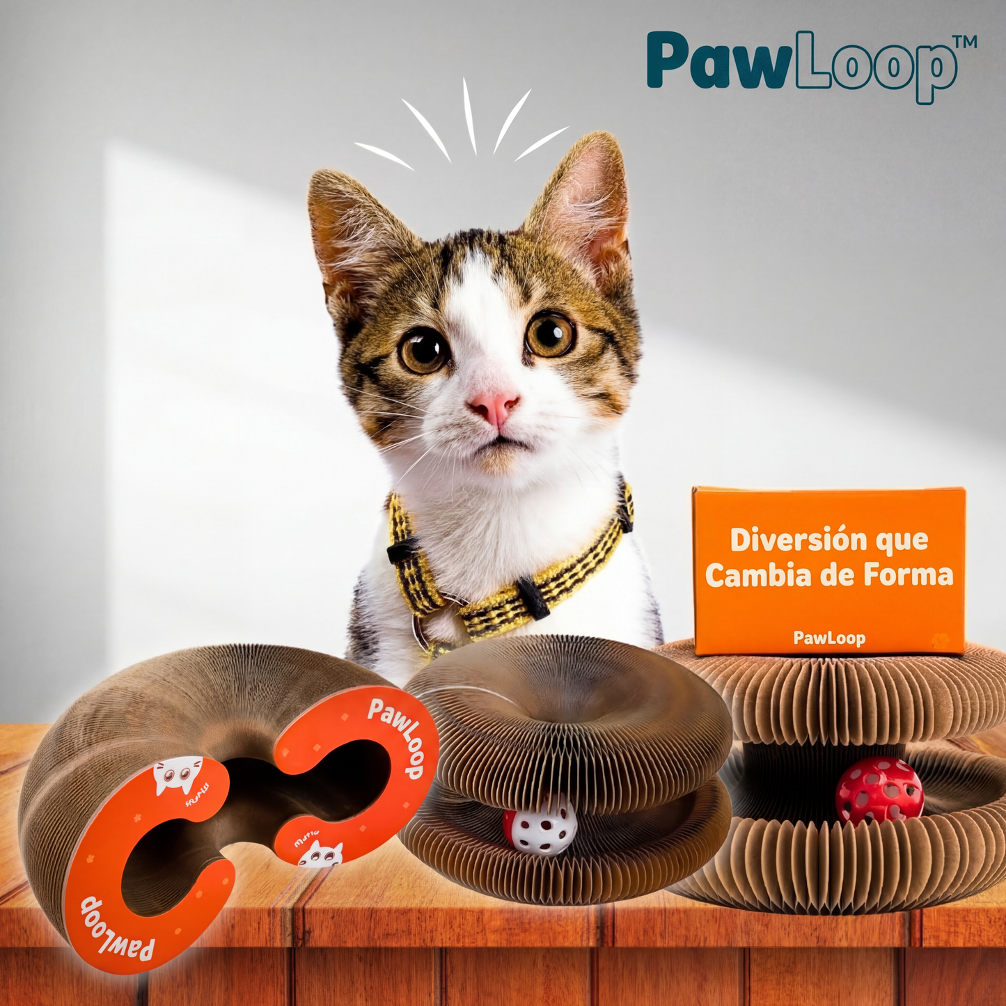 PawLoop Libera tensión acumulada